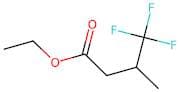 Ethyl 3-methyl-4,4,4-trifluorobutanoate