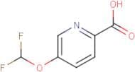 5-(Difluoromethoxy)picolinic acid
