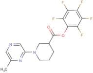 Pentafluorophenyl 1-(6-methylpyrazin-2-yl)piperidine-3-carboxylate