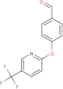 4-[5-(Trifluoromethyl)pyridin-2-yloxy]benzaldehyde