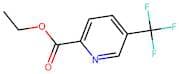Ethyl 5-(trifluoromethyl)pyridine-2-carboxylate
