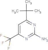 2-Amino-4-(tert-butyl)-6-(trifluoromethyl)pyrimidine