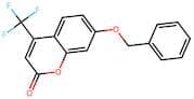 7-Benzyloxy-4-(trifluoromethyl)coumarin