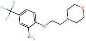 2-(2-Morpholinoethoxy)-5-(trifluoromethyl)benzenamine