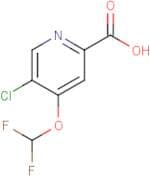 5-Chloro-4-(difluoromethoxy)pyridine-2-carboxylic acid