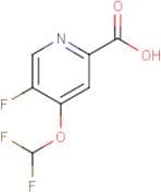 4-(Difluoromethoxy)-5-fluoropyridine-2-carboxylic acid