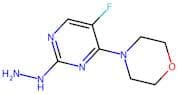 4-(5-Fluoro-2-hydrazinopyrimidin-4-yl)morpholine