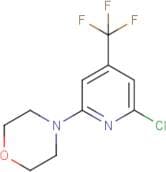 6-Chloro-2-morpholino-4-(trifluoromethyl)pyridine
