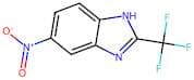 5-Nitro-2-(trifluoromethyl)-1H-benzimidazole