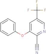 2-Cyano-3-phenoxy-5-(trifluoromethyl)pyridine
