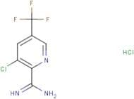 3-Chloro-5-(trifluoromethyl)pyridine-2-carboxamidine hydrochloride