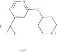 4-(Piperidin-4-yloxy)-6-(trifluoromethyl)pyrimidine hydrochloride