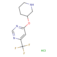 4-(Piperidin-3-yloxy)-6-(trifluoromethyl)pyrimidine hydrochloride