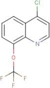 4-Chloro-8-trifluoromethoxyquinoline