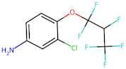 3-Chloro-4-(1,1,2,3,3,3-hexafluoropropoxy)aniline