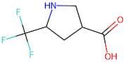 5-(Trifluoromethyl)pyrrolidine-3-carboxylic acid