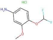 4-(Difluoromethoxy)-3-methoxyaniline hydrochloride