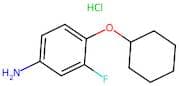 4-(Cyclohexyloxy)-3-fluoroaniline hydrochloride