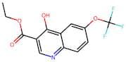 Ethyl 4-oxo-6-(trifluoromethoxy)-1,4-dihydroquinoline-3-carboxylate