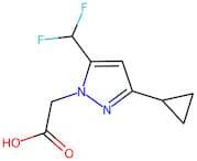 [3-Cyclopropyl-5-(difluoromethyl)-1H-pyrazol-1-yl]acetic acid