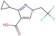 3-Cyclopropyl-1-(2,2,2-trifluoroethyl)-1H-pyrazole-4-carboxylic acid