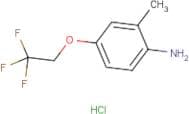 2-Methyl-4-(2,2,2-trifluoroethoxy)aniline hydrochloride