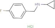 Cyclopropyl(4-fluorobenzyl)amine hydrochloride