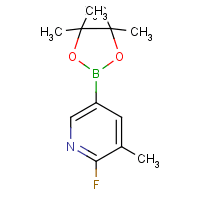 2-Fluoro-3-methylpyridine-5-boronic acid, pinacol ester