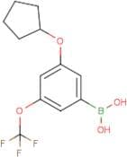 3-(Cyclopentyloxy)-5-(trifluoromethoxy)phenylboronic acid