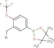 (3-Bromomethyl-4-trifluoromethoxyphenylboronic acid, pinacol ester