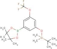 3-(tert-Butyldimethysilyloxy)-5-trifluoromethoxyphenylboronic acid, pinacol ester
