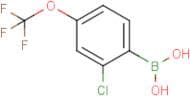2-Chloro-4-trifluoromethoxyphenylboronic acid