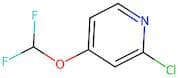 2-Chloro-4-(difluoromethoxy)pyridine