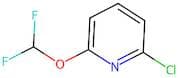 2-Chloro-6-(difluoromethoxy)pyridine