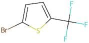 2-Bromo-5-trifluoromethyl-thiophene