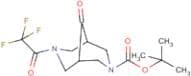 tert-Butyl 9-oxo-7-(2,2,2-trifluoroacetyl)-3,7-diaza-bicyclo[3.3.1]nonane-3-carboxylate