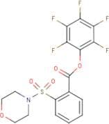 Pentafluorophenyl 2-(morpholin-4-ylsulphonyl)benzoate