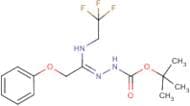 N'-[2-Phenoxy-1-(2,2,2-trifluoroethylamino)ethylidene]hydrazinecarboxylic acid tert-butyl ester