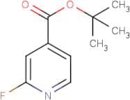 2-Fluoroisonicotinic acid tert-butyl ester