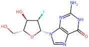 2'-Fluoro-2'-deoxyguanosine