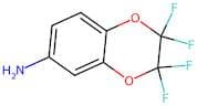 6-Amino-2,2,3,3-tetrafluoro-1,4-benzodioxane