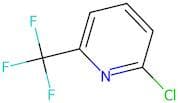 2-Chloro-6-(trifluoromethyl)pyridine