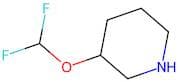 3-(Difluoromethoxy)piperidine