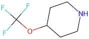 4-(Trifluoromethoxy)piperidine