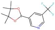 5-(Trifluoromethyl)pyridine-3-boronic acid, pinacol ester