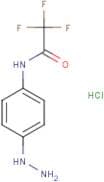 N-(4-Hydrazinophenyl)trifluoroacetamide hydrochloride