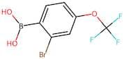 2-Bromo-4-(trifluoromethoxy)benzeneboronic acid