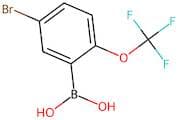 5-Bromo-2-(trifluoromethoxy)benzeneboronic acid