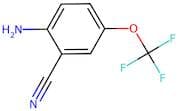 2-Amino-5-(trifluoromethoxy)benzonitrile