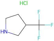 3-(Trifluoromethyl)pyrrolidine hydrochloride